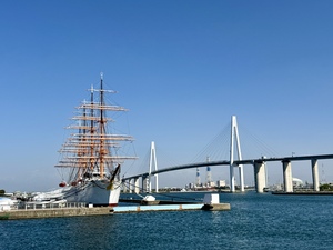 IMG_3991.jpeg