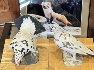 IMG_3838.jpeg