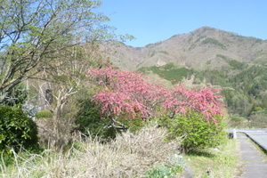 P1080279.JPG