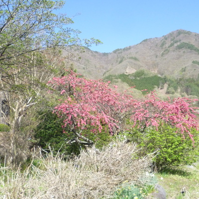 P1080279.JPG