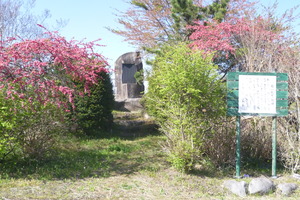P1080274.JPG