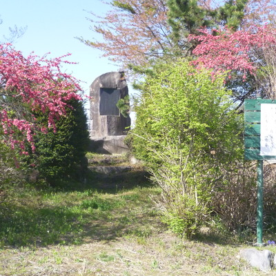 P1080274.JPG