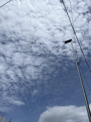 IMG_3080.jpeg