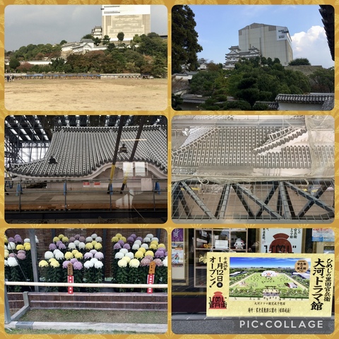 IMG_1497.jpeg