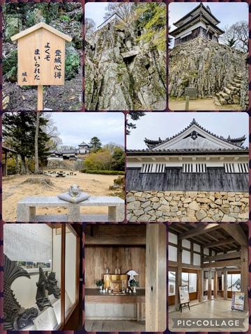 IMG_1514.jpeg