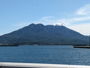 PXL_20240409_012839646.MP.jpg