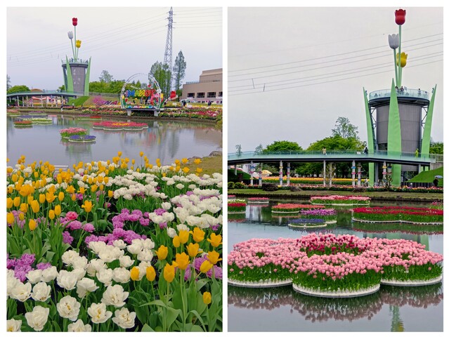 20260424_141046-COLLAGE.jpg