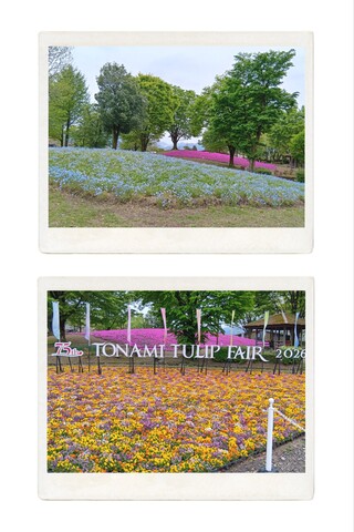 20260424_141416-COLLAGE.jpg