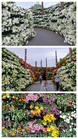 20260424_154124-COLLAGE_2.jpg