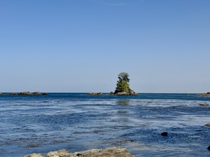 IMG_3987.jpeg