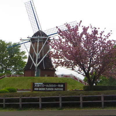 ogo_26_04_01.JPG