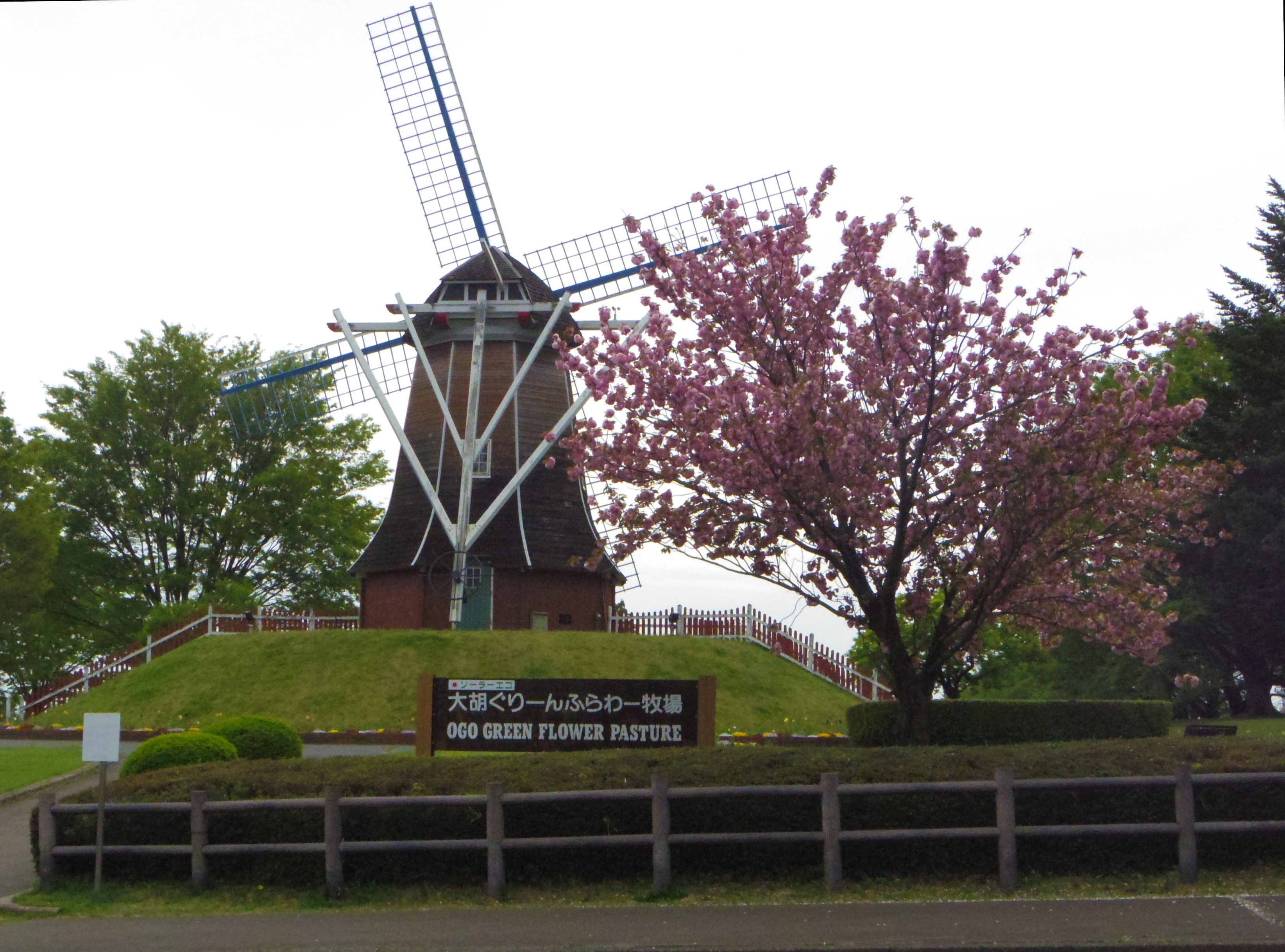 ogo_26_04_01.JPG