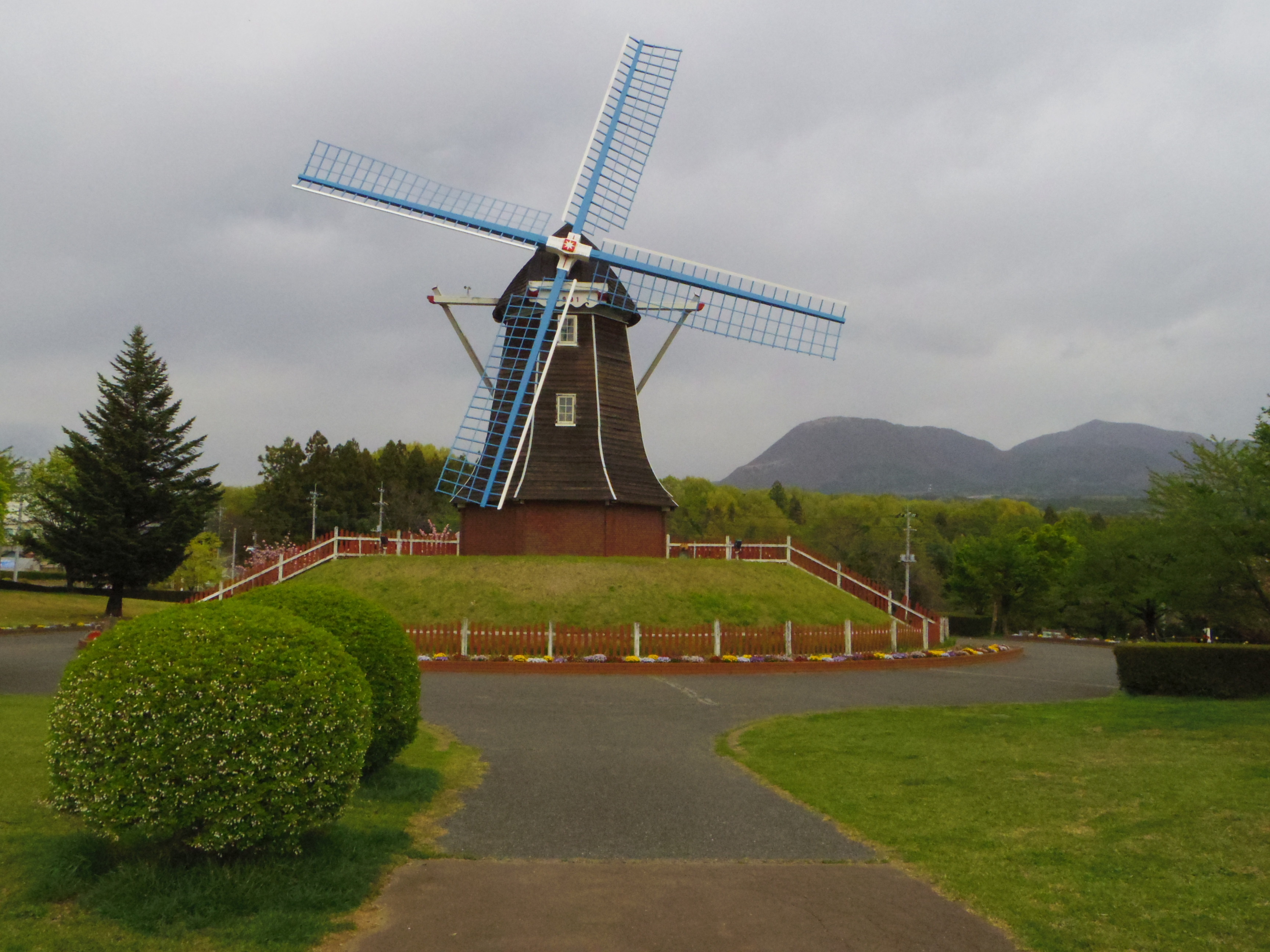 IMGP0965.JPG