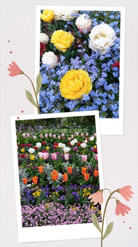 20260424_144654-COLLAGE.jpg