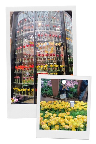 20260424_145226-COLLAGE.jpg