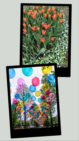 20260424_144032-COLLAGE.jpg