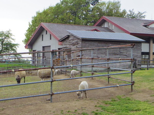 IMGP0967.JPG
