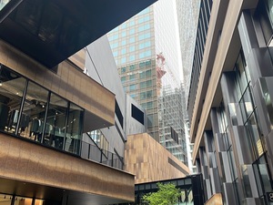 IMG_5973.jpeg
