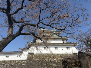 IMG_3249.jpeg