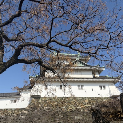IMG_3249.jpeg