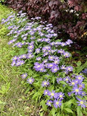 IMG_3084.jpeg