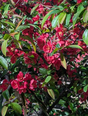 PXL_20260424_220735837.jpg