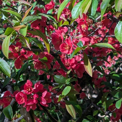 PXL_20260424_220735837.jpg