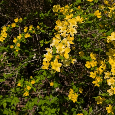 PXL_20260424_222553381.jpg