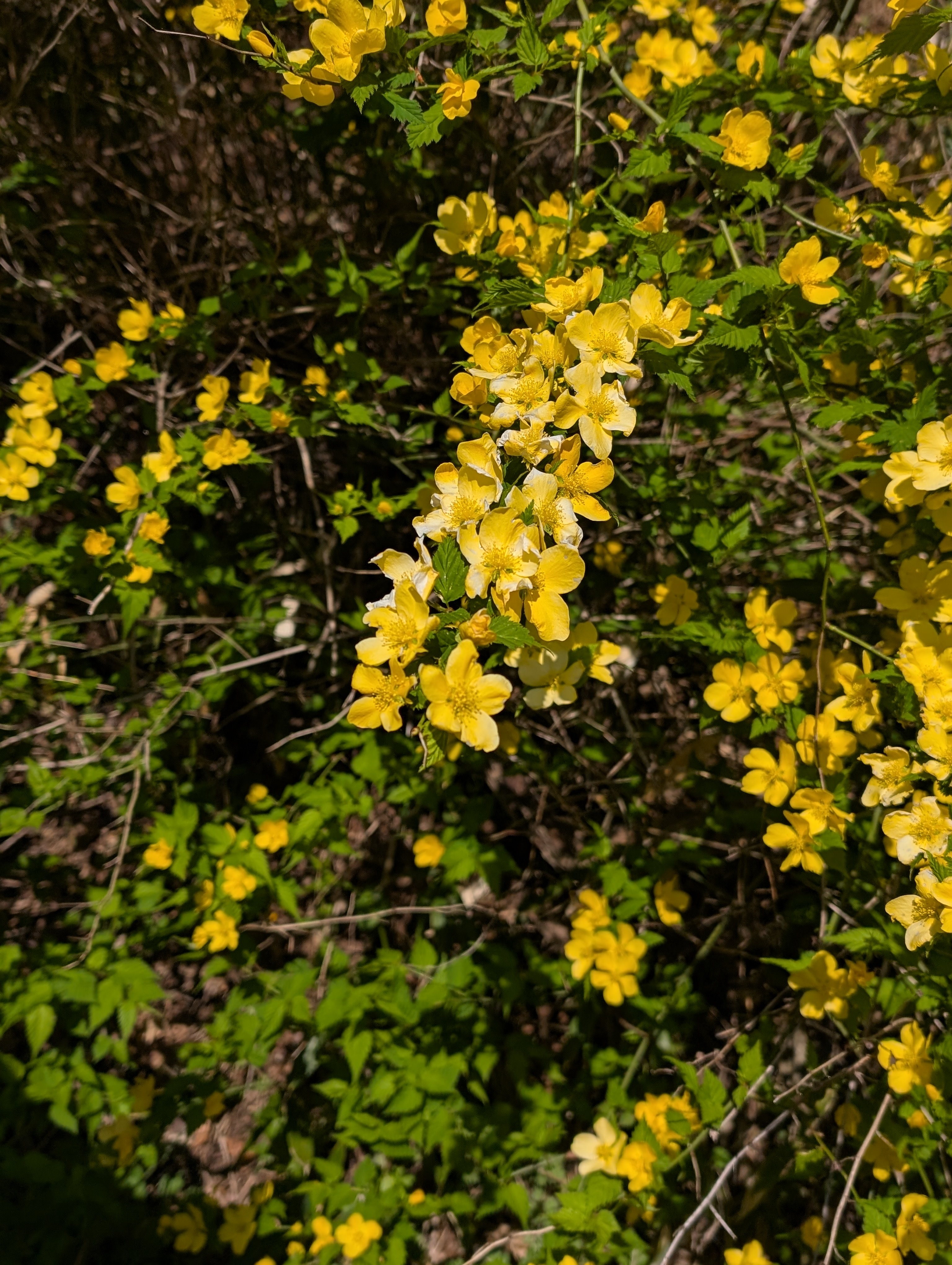 PXL_20260424_222553381.jpg