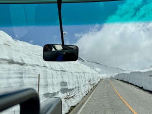 IMG_3788.jpeg