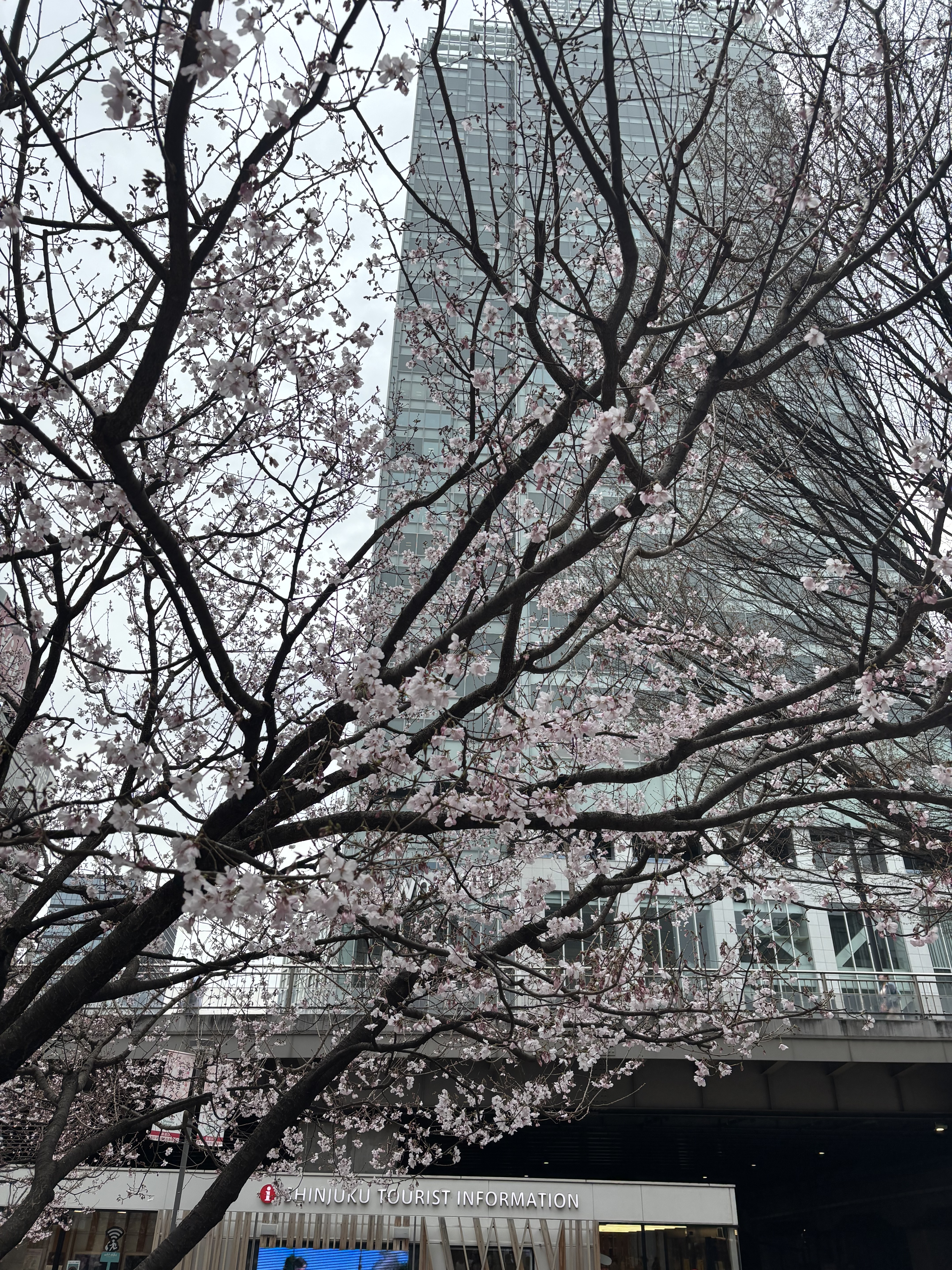 IMG_2590.jpeg