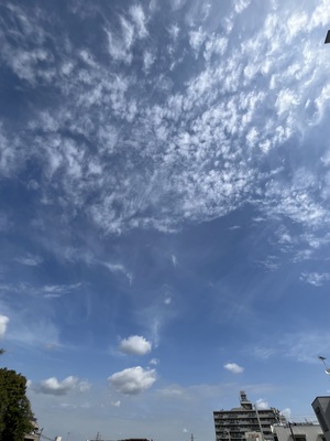 IMG_3088.jpeg