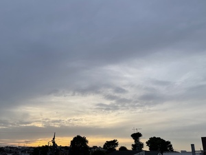 354BB9A2-E319-4144-B427-7A79625FD130.jpeg