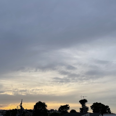 354BB9A2-E319-4144-B427-7A79625FD130.jpeg
