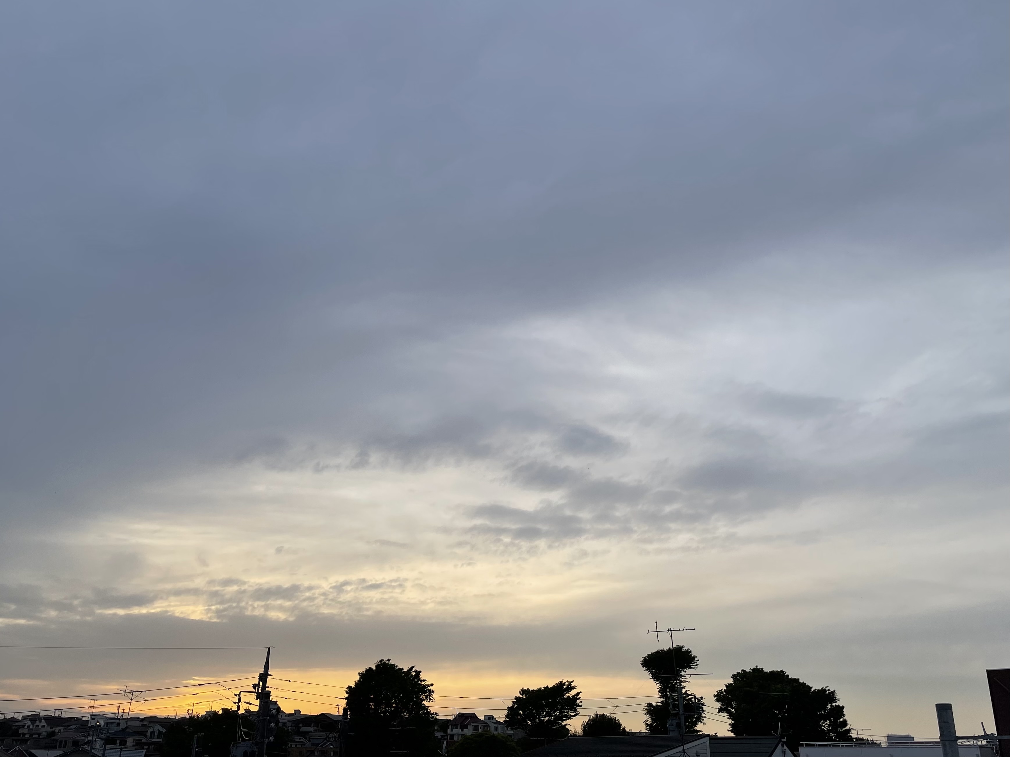 354BB9A2-E319-4144-B427-7A79625FD130.jpeg