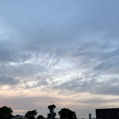 A6605360-5E44-4E98-B95F-4524F63D3241.jpeg