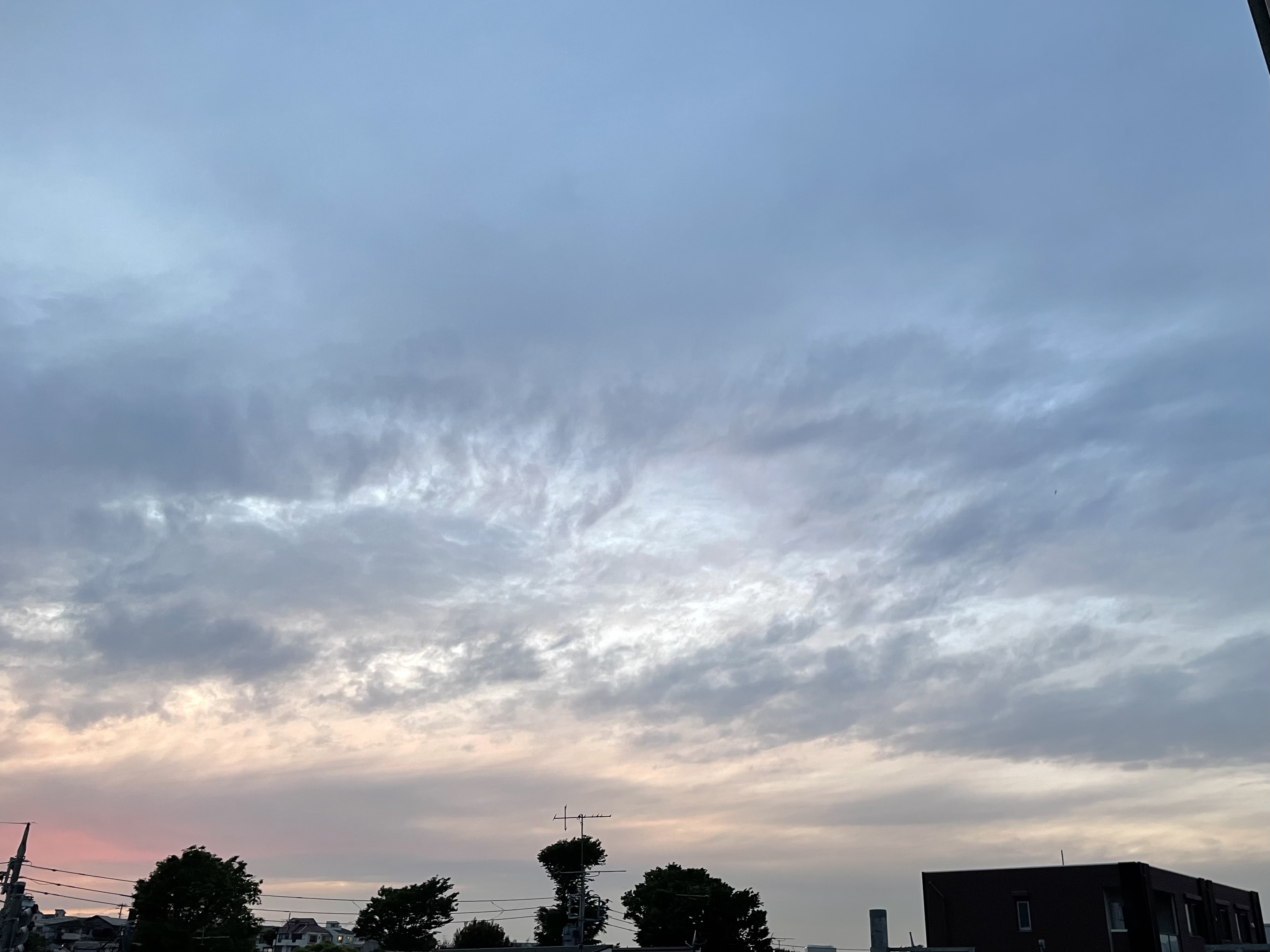 A6605360-5E44-4E98-B95F-4524F63D3241.jpeg