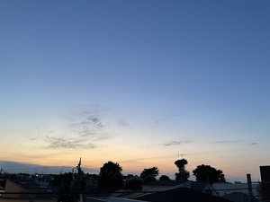 CBF19B6C-46BC-4F2E-9F3F-AD6B3E412237.jpeg