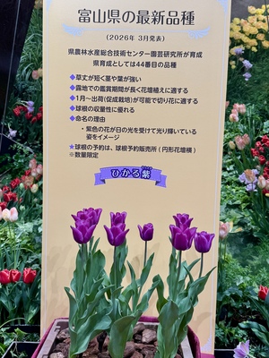 IMG_4028.jpeg