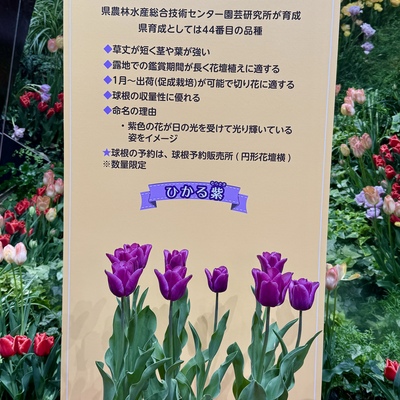 IMG_4028.jpeg