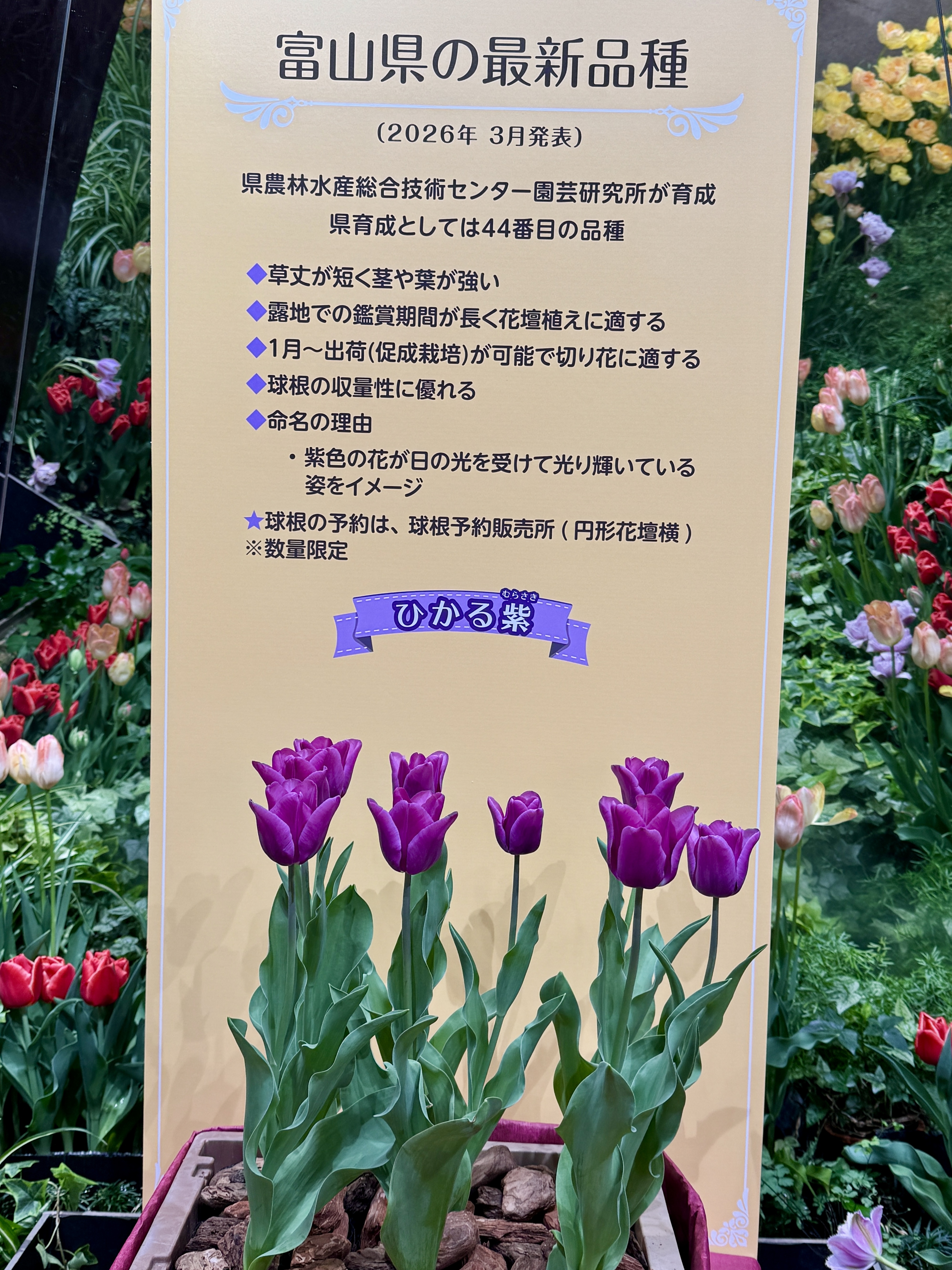 IMG_4028.jpeg