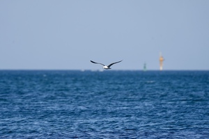 IMG_4196.jpeg