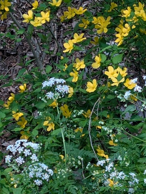 PXL_20260425_223341961.jpg