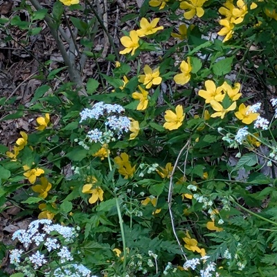 PXL_20260425_223341961.jpg