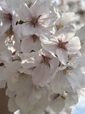 IMG_7549.jpeg