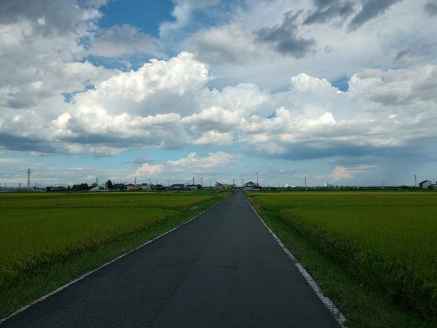 IMG_20240817_150621889_HDR.jpg