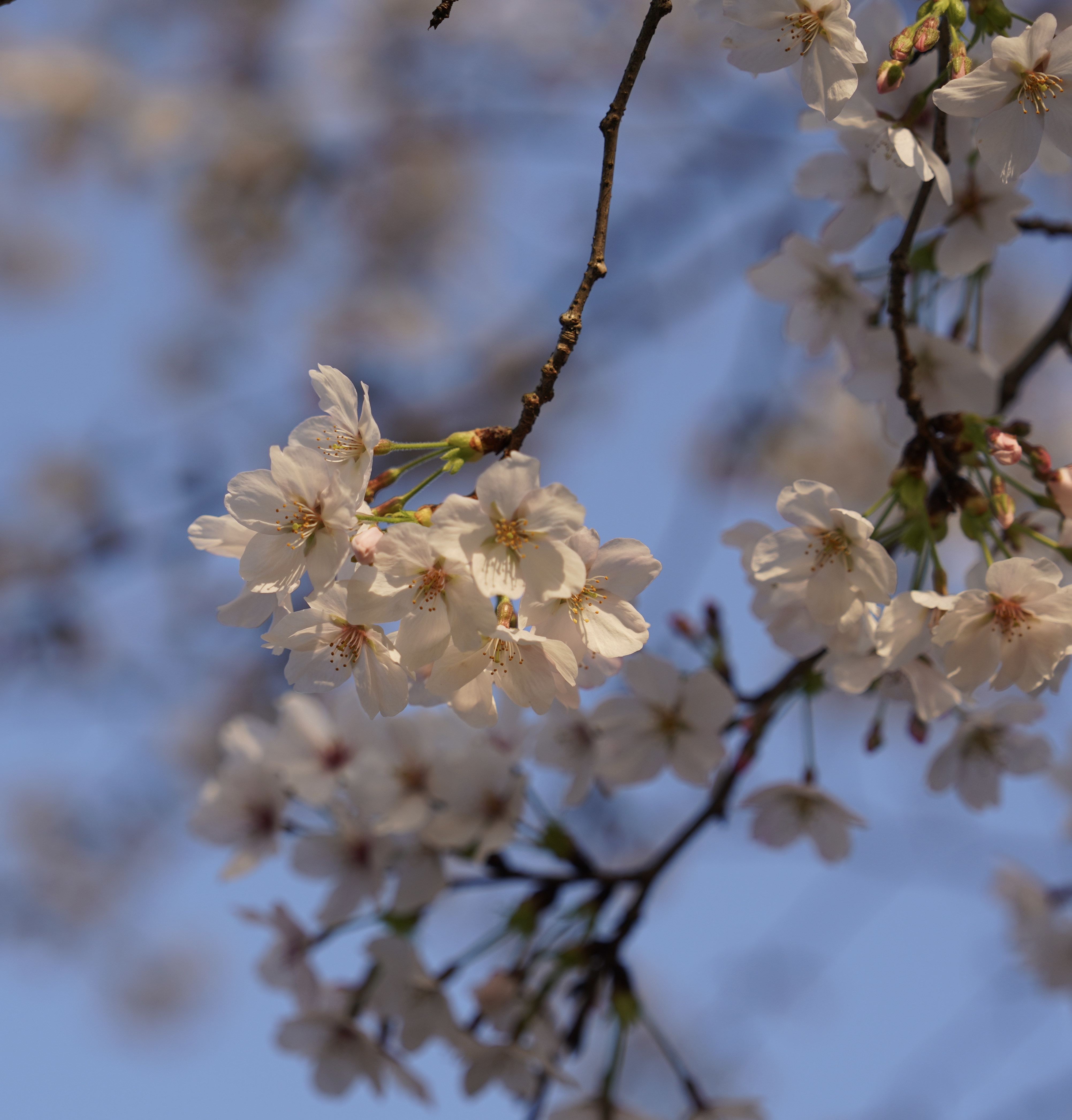 DSC04129.jpeg