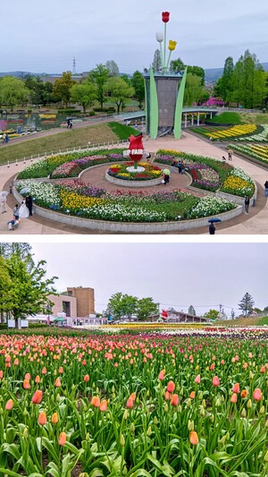 20260424_143802-COLLAGE.jpg