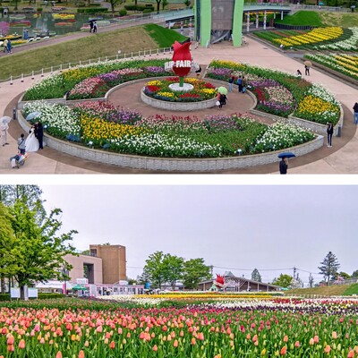 20260424_143802-COLLAGE.jpg
