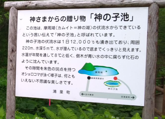 スクリーンショット_2026-04-26_141251.png